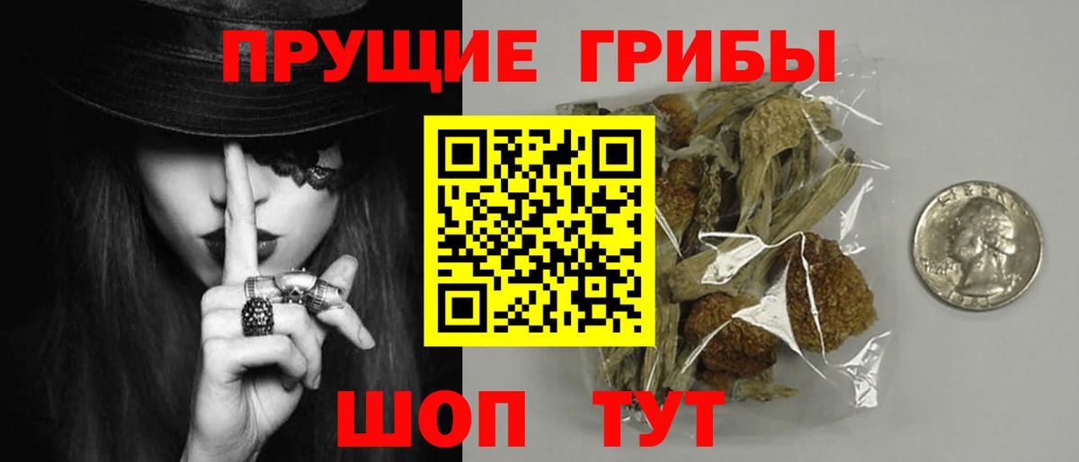 Омск  Галлюциногенные грибы ЛСД  Вход с VPN  Галлюциногенные грибы прущие грибы 